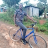 Brinly stive