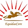 Equidaecore Integrated Nigeria Ltd