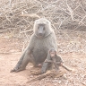 Pacifique ISIMBI