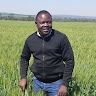 Collins Siasulingana