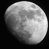 Moon Sunny