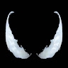 DRgrs II
