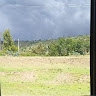 george mwangi