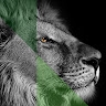 Joshua Mwale