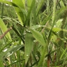 C.S.K.KALARI & AYURVEDA P ltd