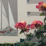 Véronique F. KERBIRIOU