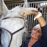 Bénédicte PONCHARAL