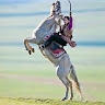 Nalan Baltalıoğlu