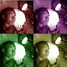 Olomide  