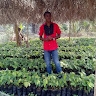 ADEOYE OPEYEMI