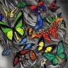 Eva Lacková