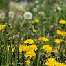 Rufaro E Maturure