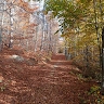 Ірина Галюченко