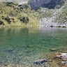 Roberta Gandini