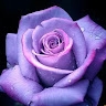arunamurthy k