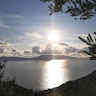 I. P.P.