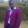 Kotaris Ernest