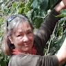 Sabina Jez