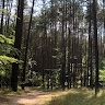 Ola Pałka