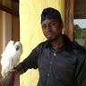 Sang Mendy
