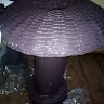 Amimo Jacqueline