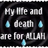 Musa shehu