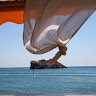 Argyroula Ntiliou