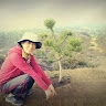 christine park