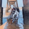 Mumbi Muli