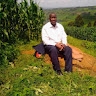 David Matum