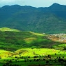 Temesgen  Berhanu