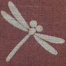 nawashi kolker