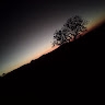 Wanangwa Siloh