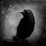 Poet of Darkness