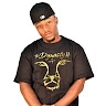 The Dynasty 11  