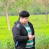 Bikash Ranjan Gogoi