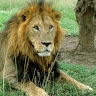 Titus Mwongera