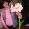 Dragica Lapanja