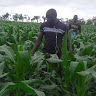 MOSES PHIRI
