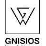 GNISIOSWOODELEMENT  