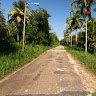 Dustin Whitfield