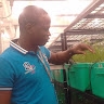 Kouassi Amani