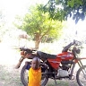jasper angena