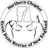 Northern Chapter Great Dane Rescue of New England