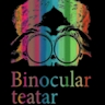 Binocular production