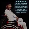 انس أحمد رفاعي