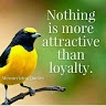 A. M Tahir