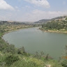 ציבי זינגר