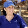 Anita Shkedi