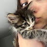 Kali  